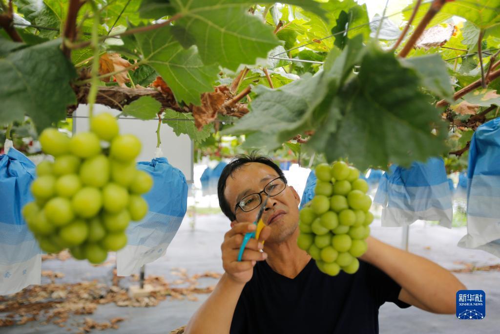 利记官网是真的吗